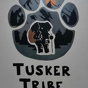 Tusker Tribe Mysore